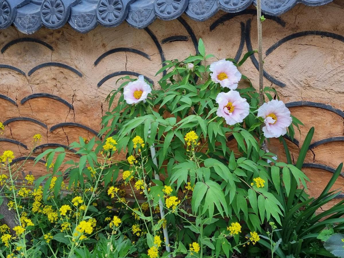 Dasomchae Hanok Stay Кванджу Экстерьер фото